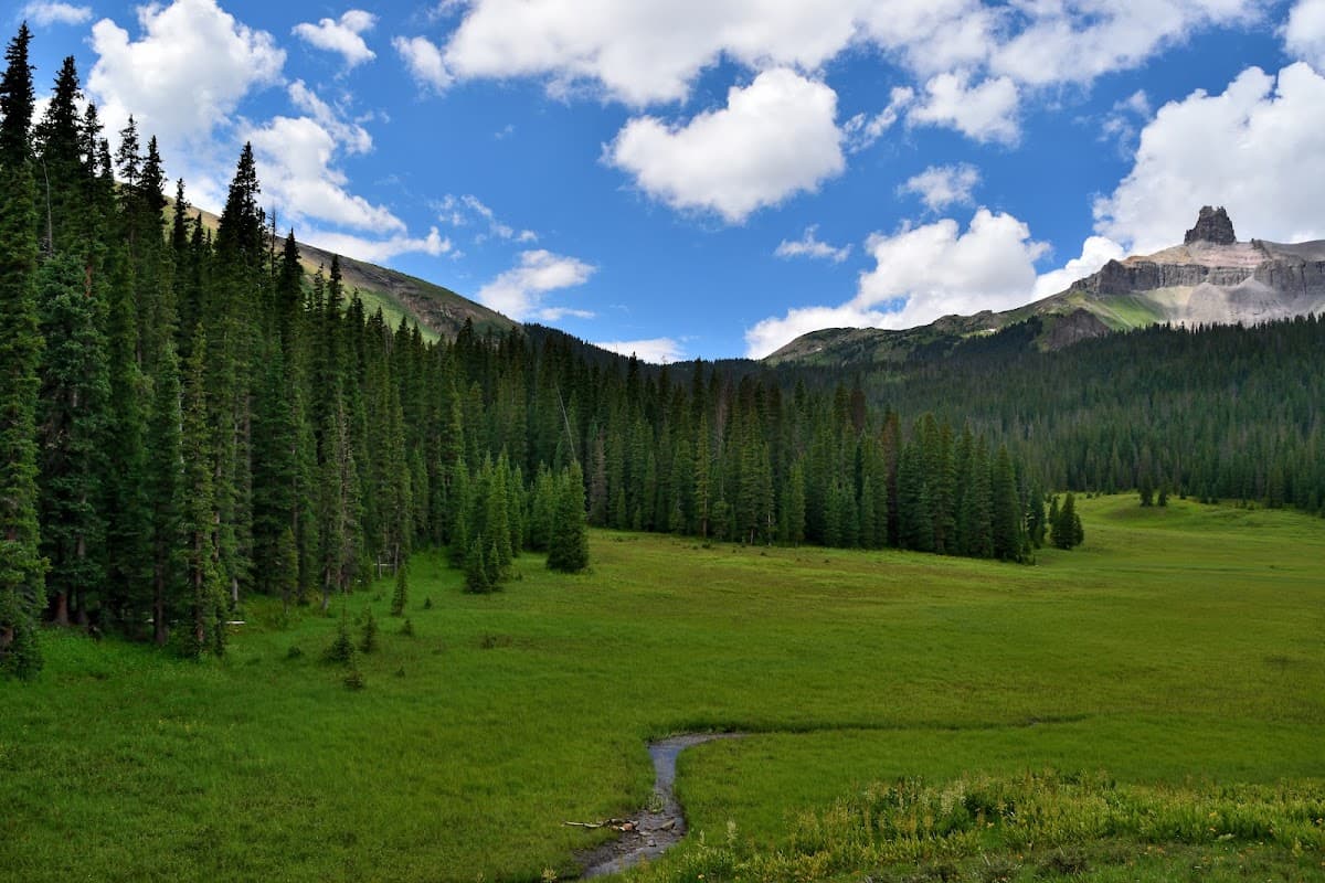 Wilson Meadows