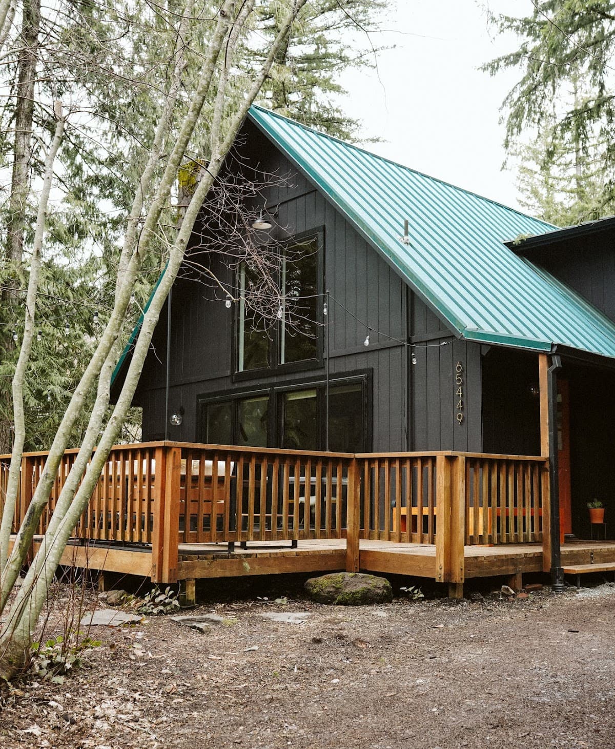 Saturday Cabin