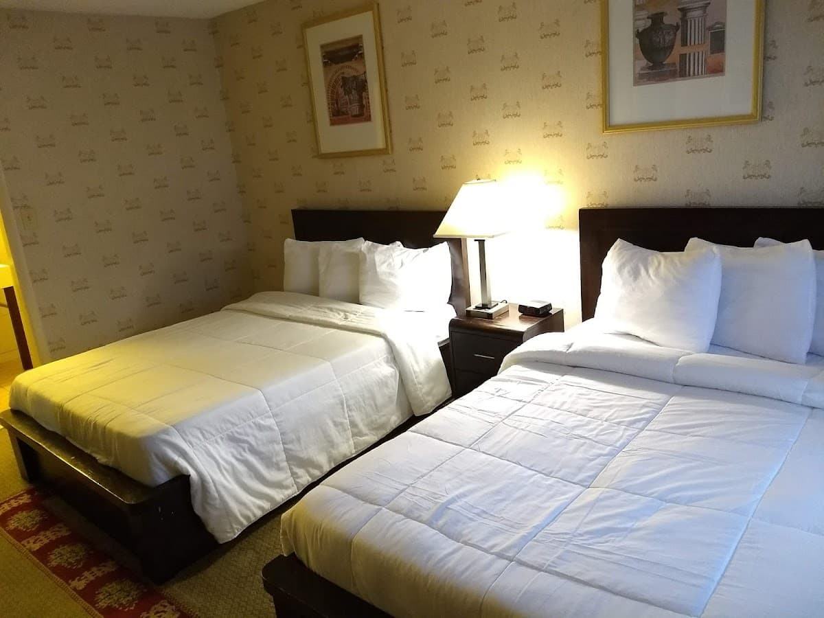 Congress Hotel and Suites