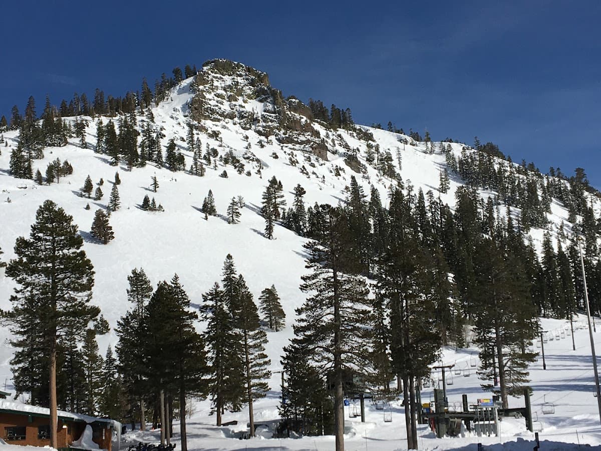 Alpine Meadows