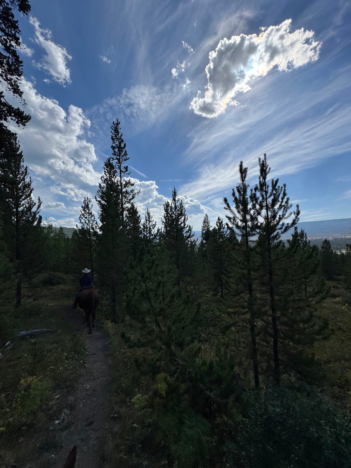 Wilderness Trails Inc.
