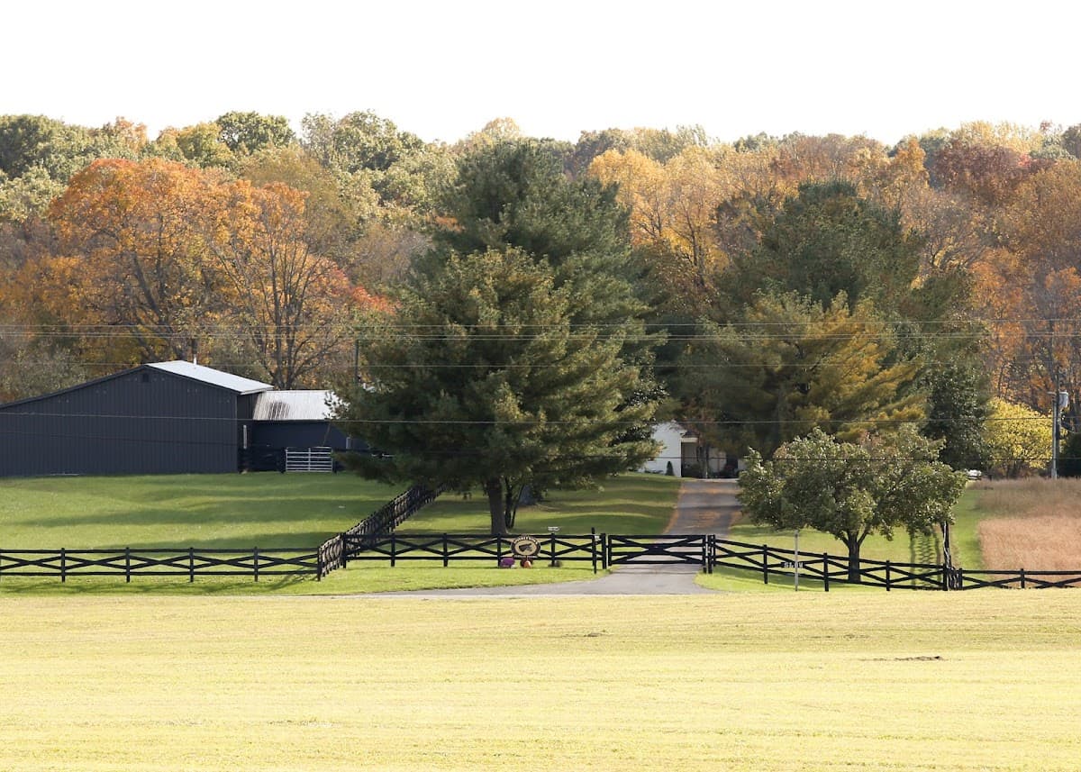 Donkeytown at Turner Farms