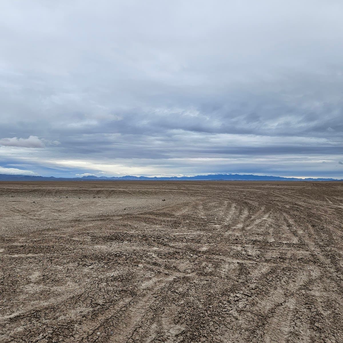 Willcox Playa