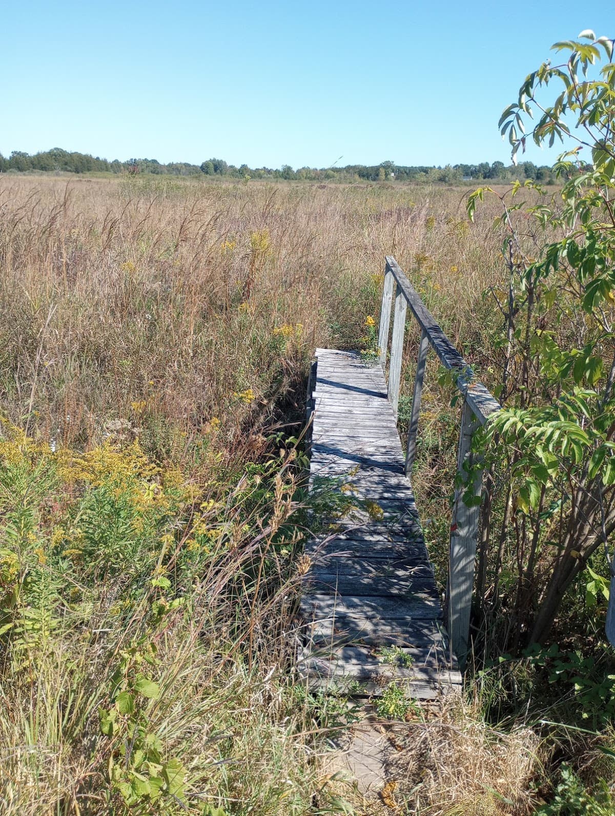 Goose Creek Grasslands