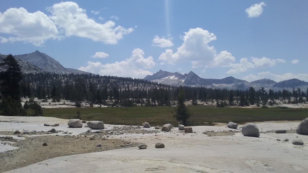Lightning Corral Meadow