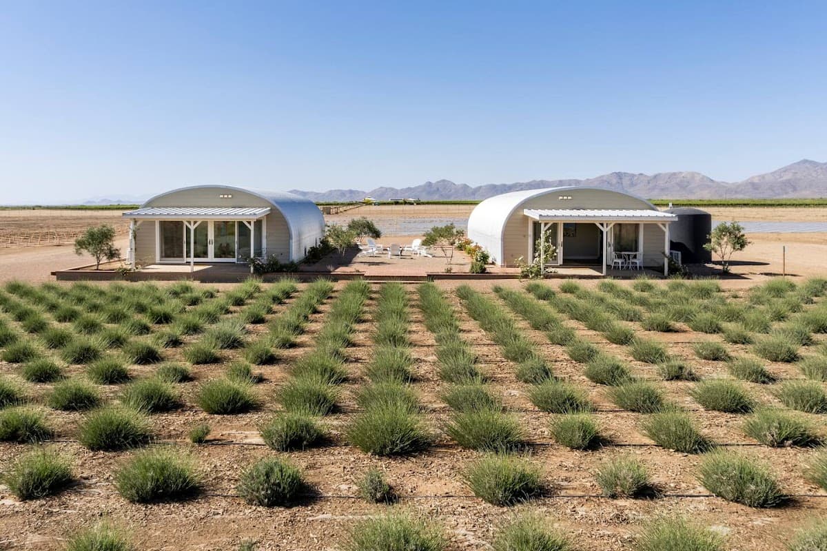 Rhumb Line Vineyard & Lavender Farm