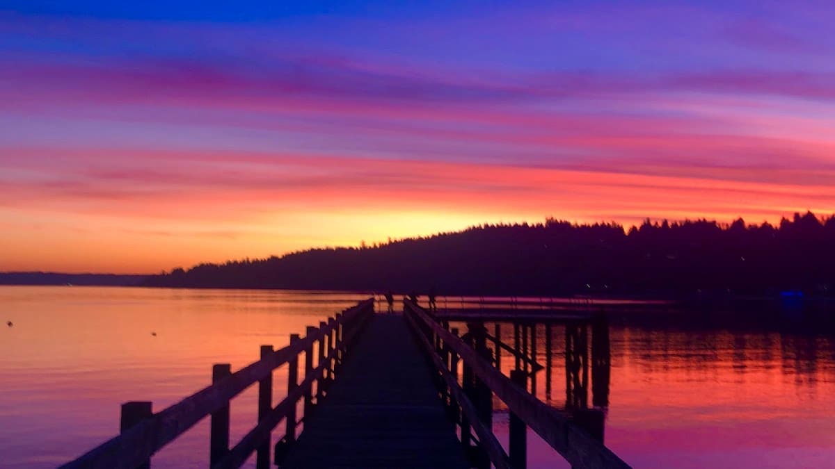 Point White Dock