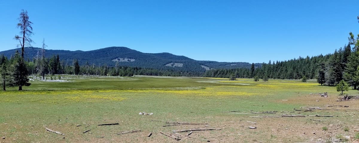 Old Cow Creek Meadows