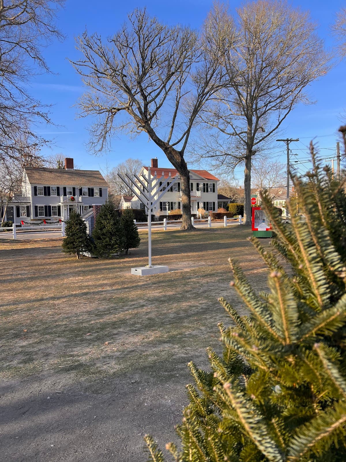 Palmer House Inn