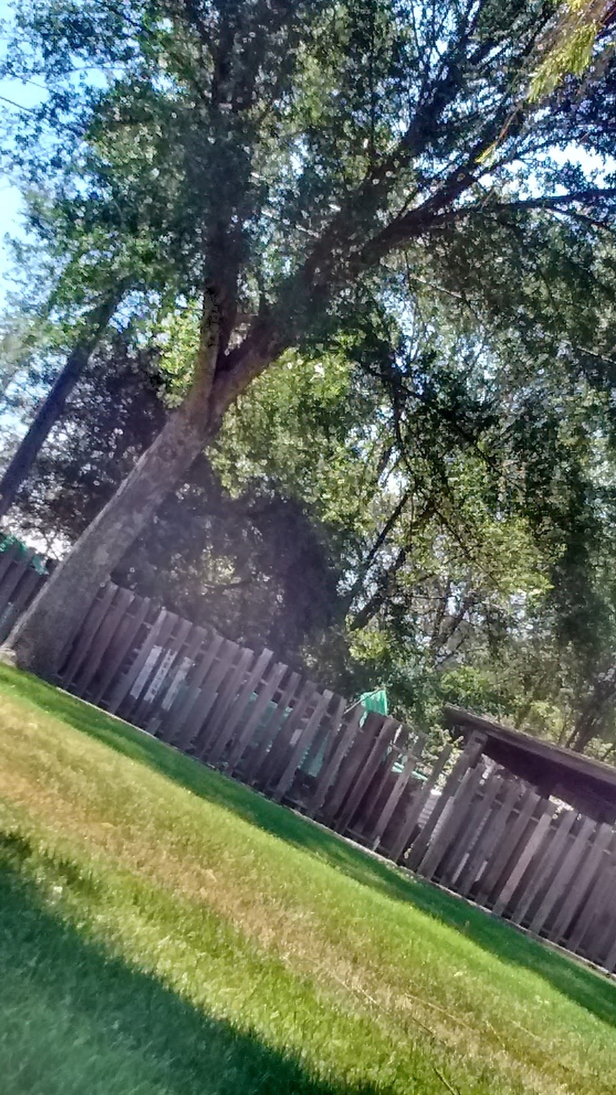 Red Carpet Motor Inn