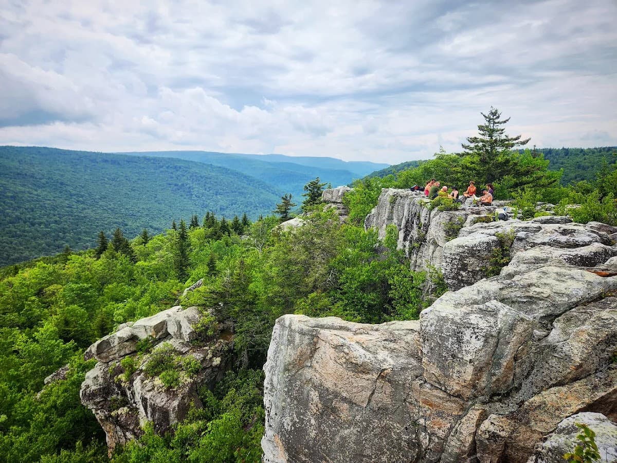 Dolly Sods Wilderness