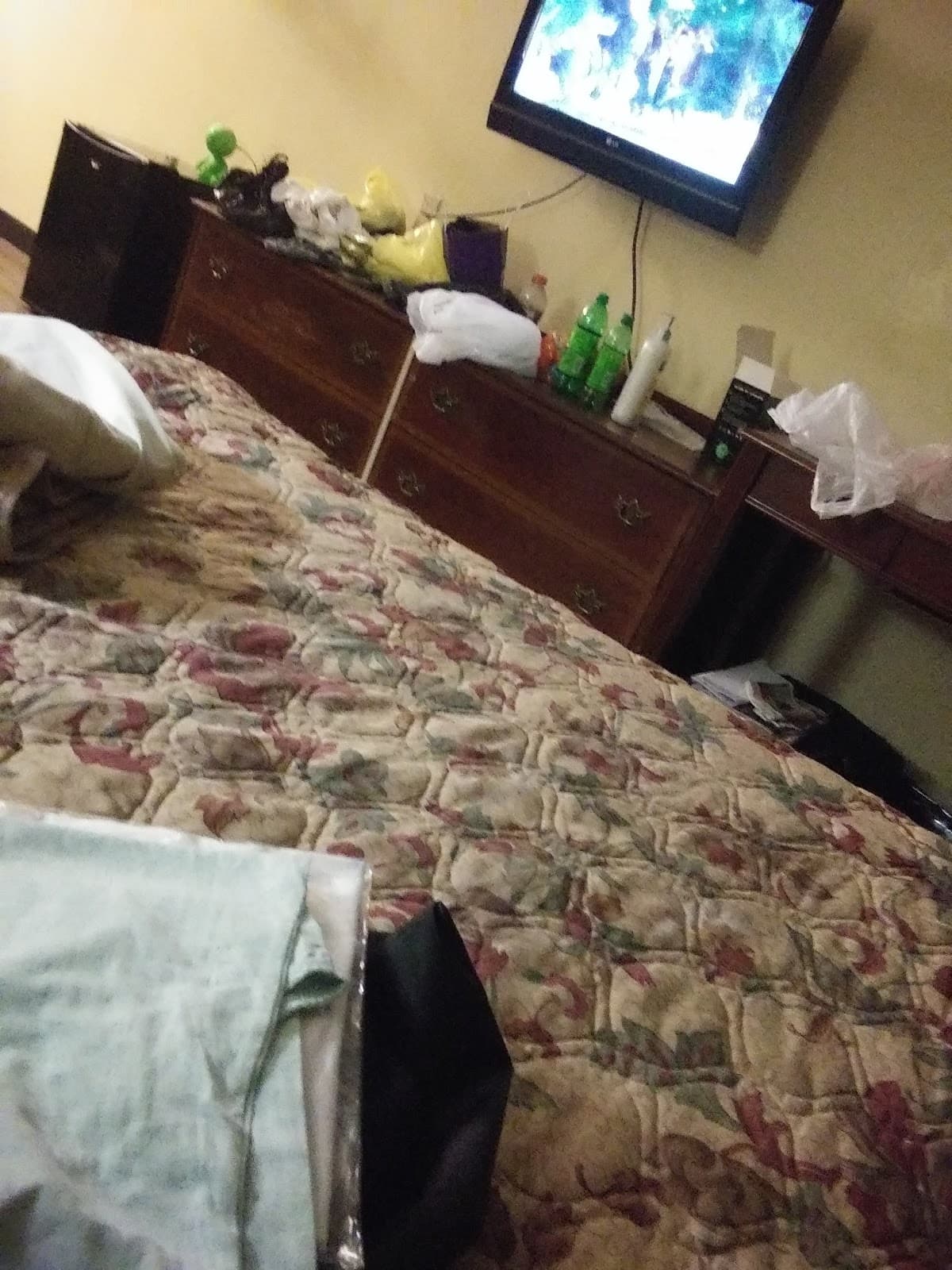 Executive Inn & Suites