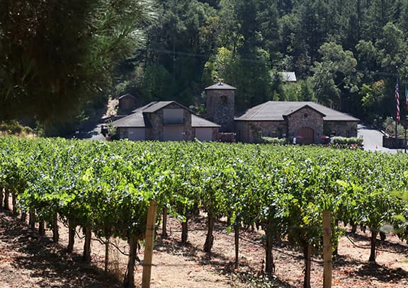 Beau Wine Tours & Charter Services