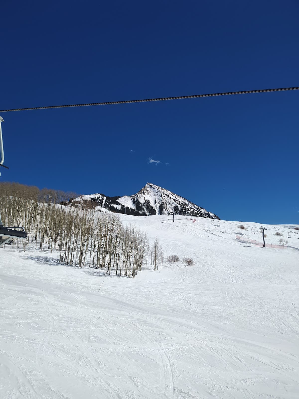 Crested Butte Mountain Resort Properties