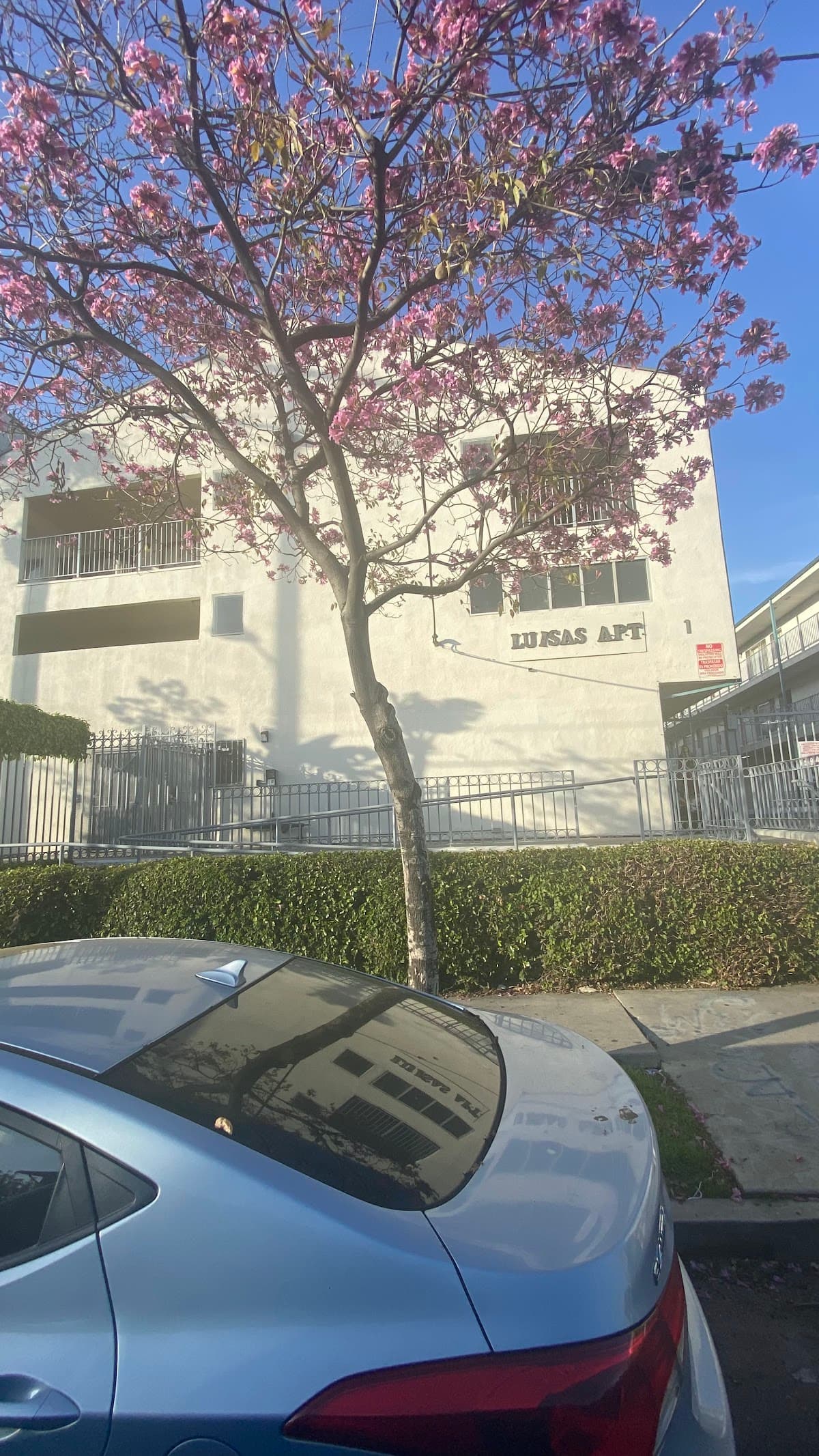 Luisa Apartments