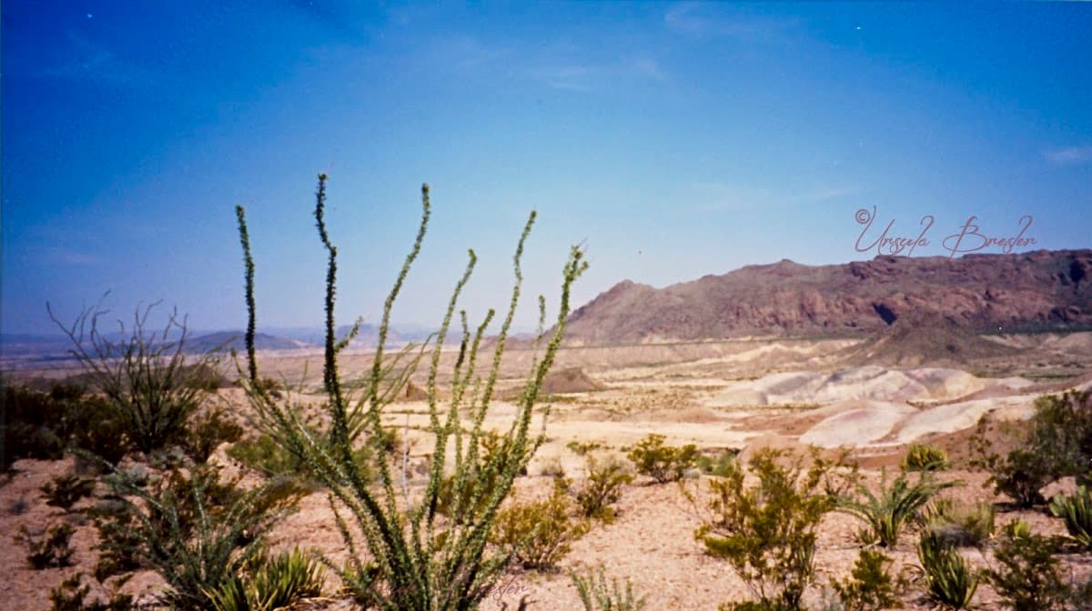 The Badlands