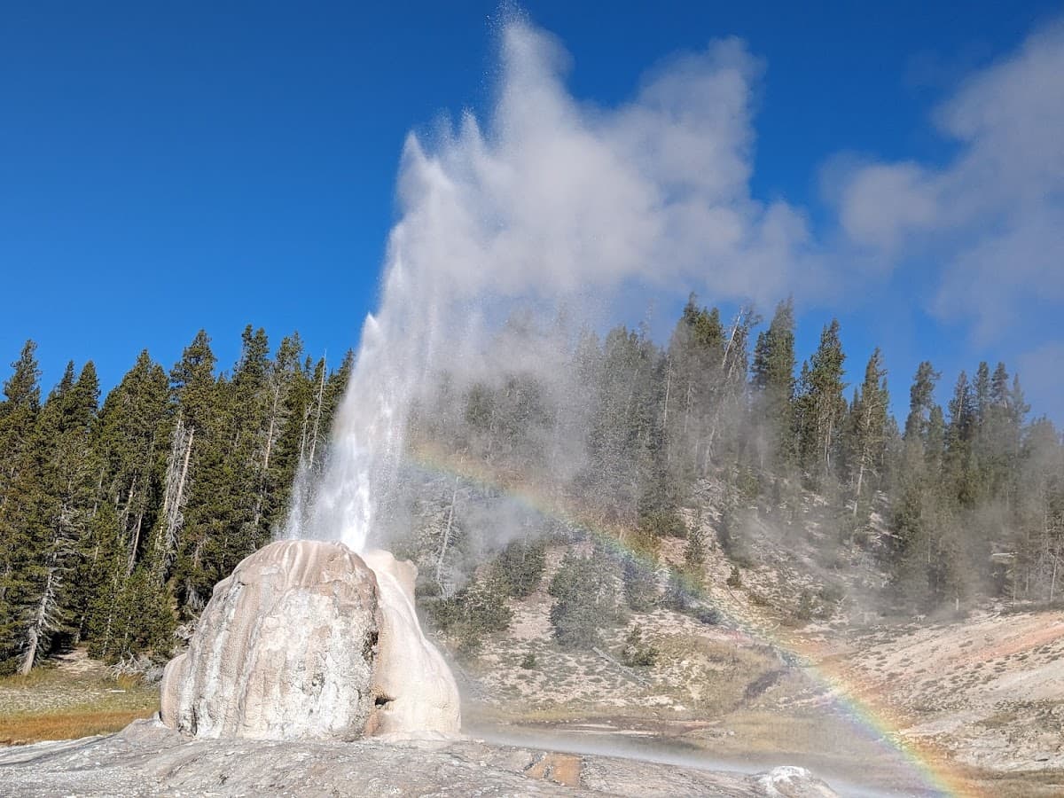 Lone Star Geyser