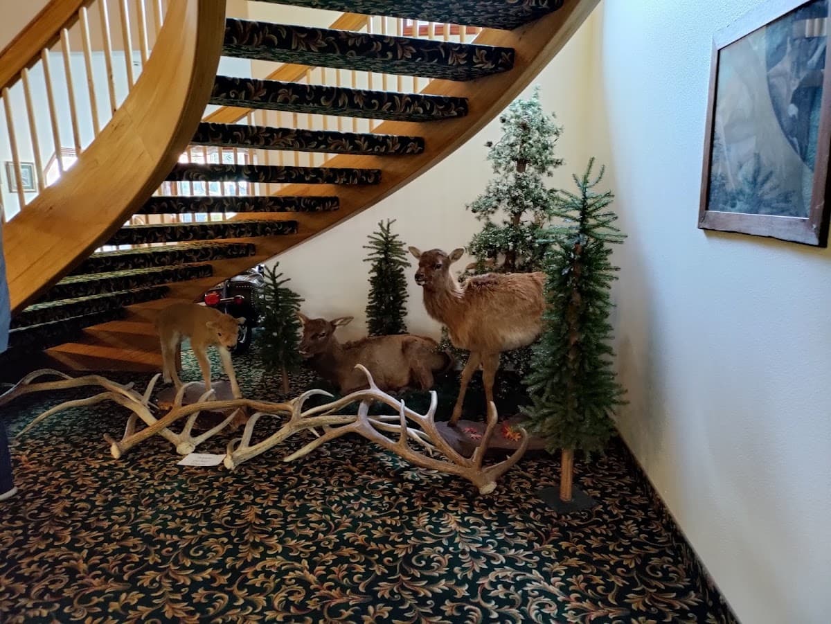 Greenwood Village Inn and Suites