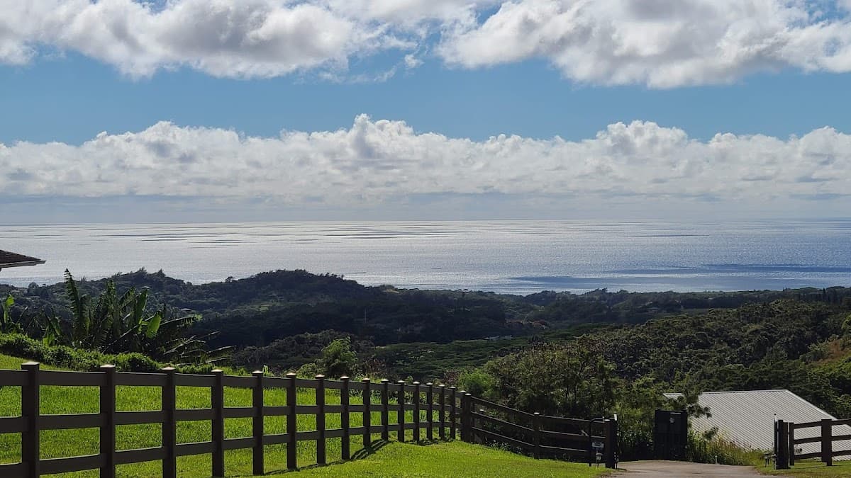 O'Luina