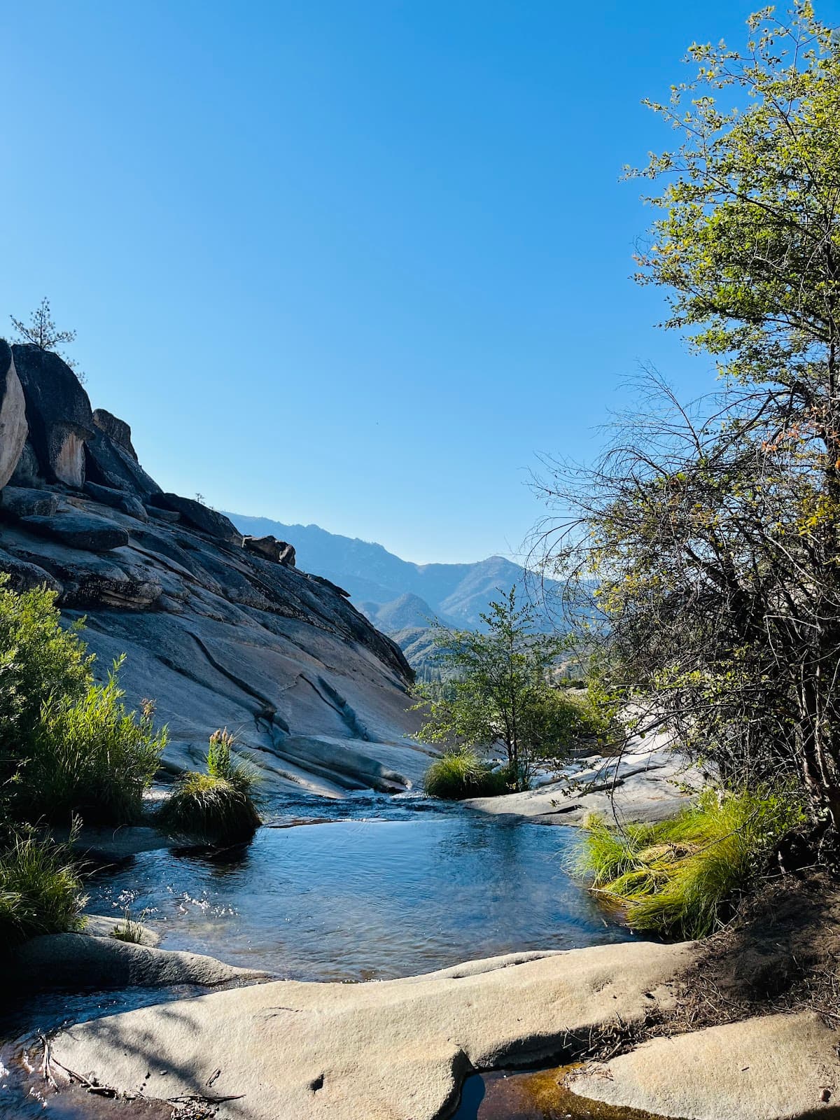 Peppermint Falls Ranch