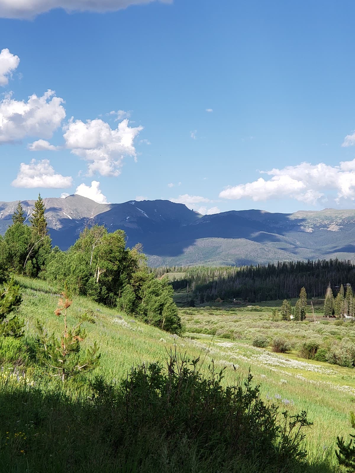 Wapiti Lodge