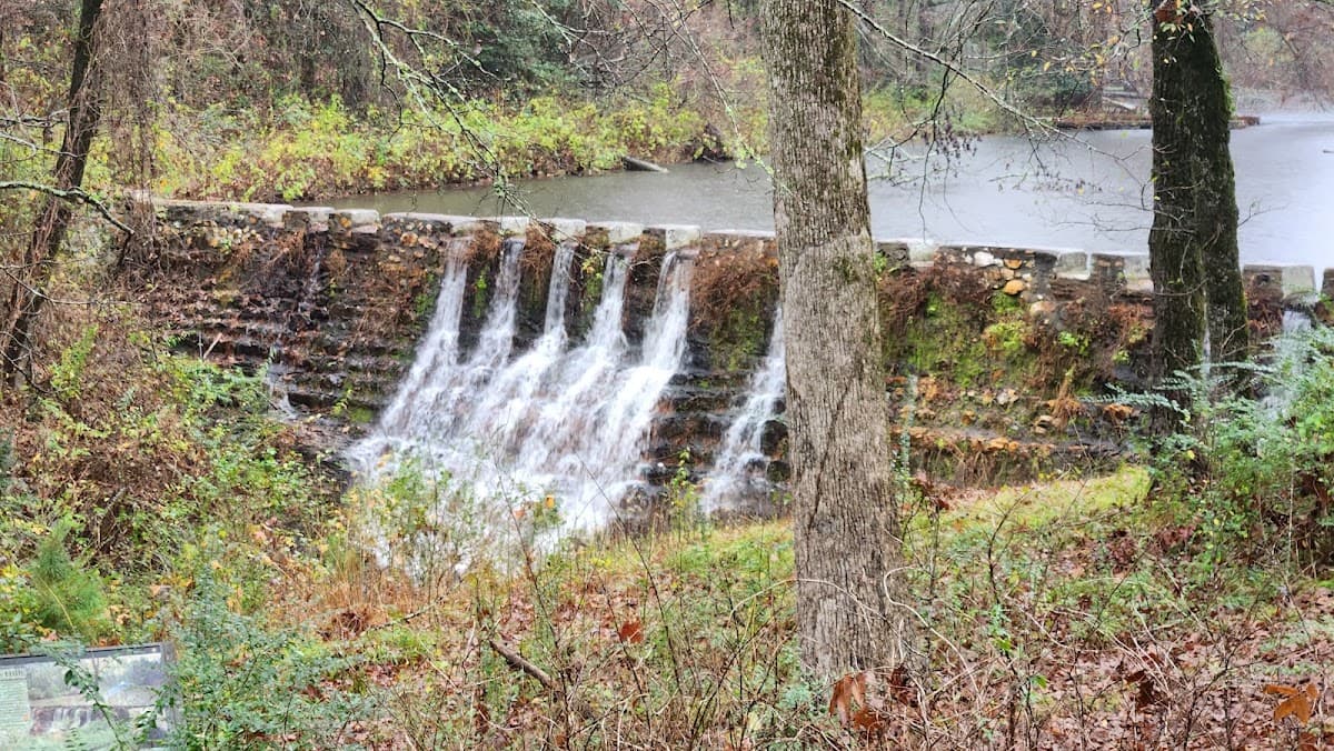 Fordyce Ricks Estate