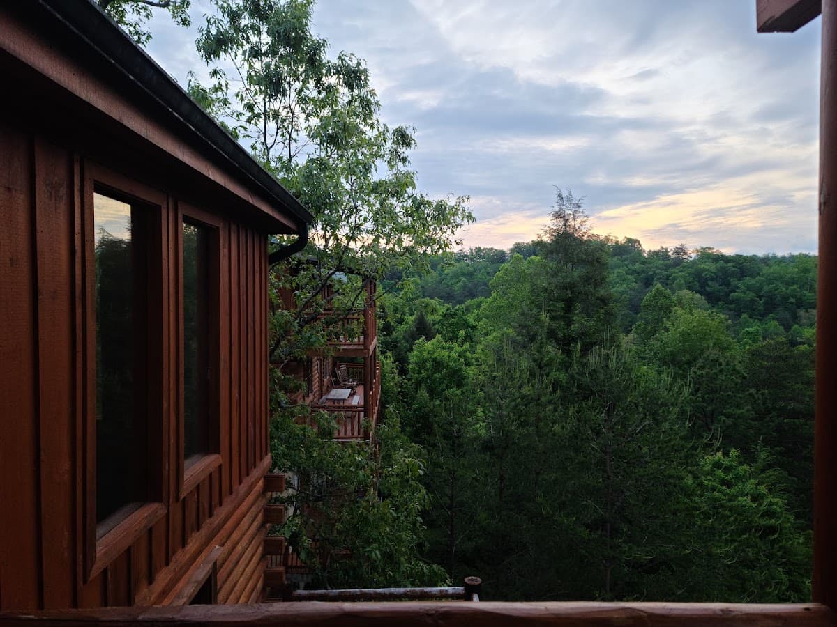 Leconte Bear Lodge