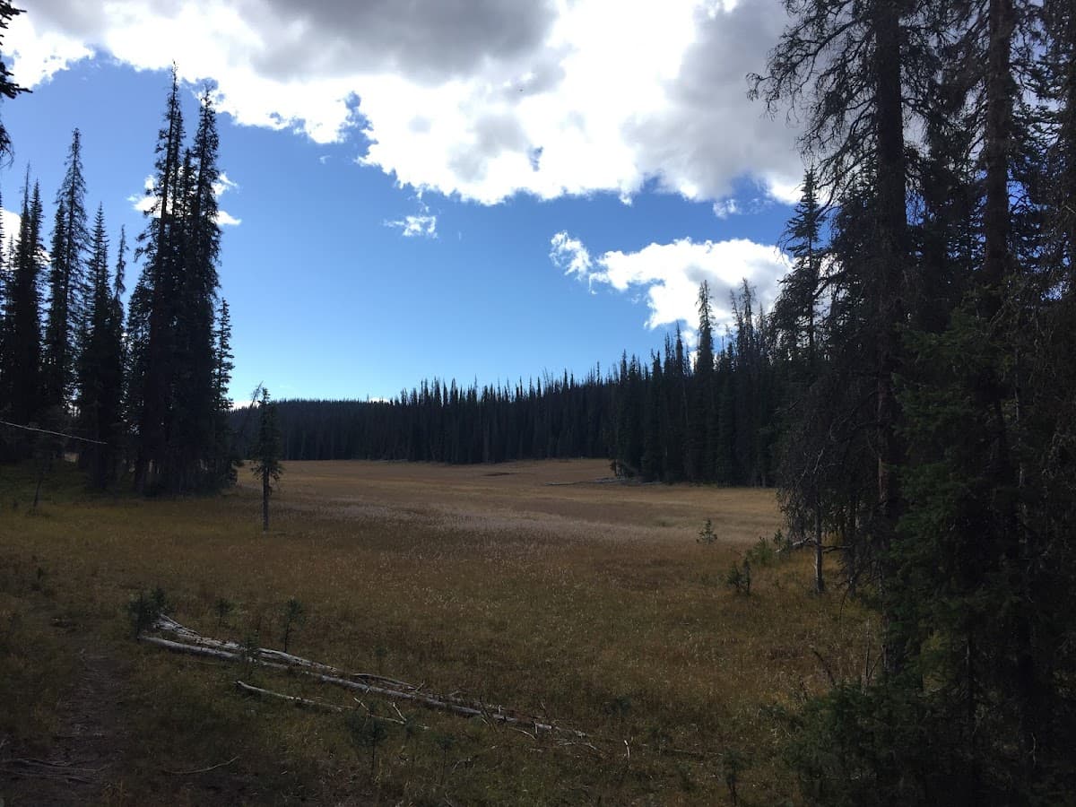 Long Meadows
