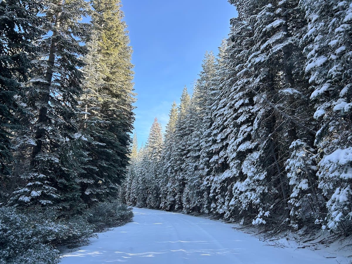 Big Prather Meadow