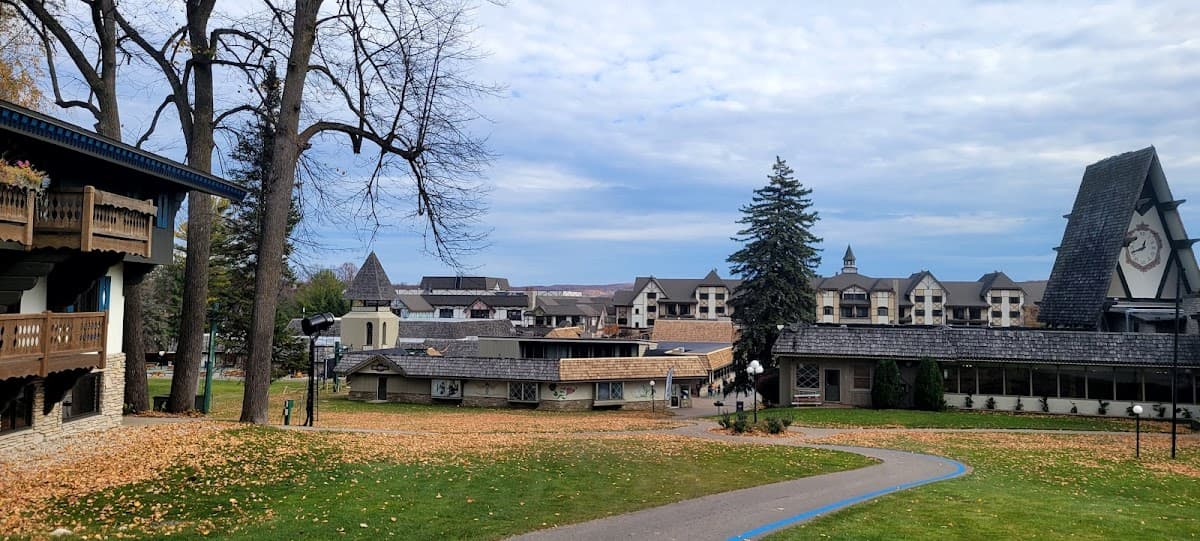 Chalet Edelweiss - Boyne Mountain Resort