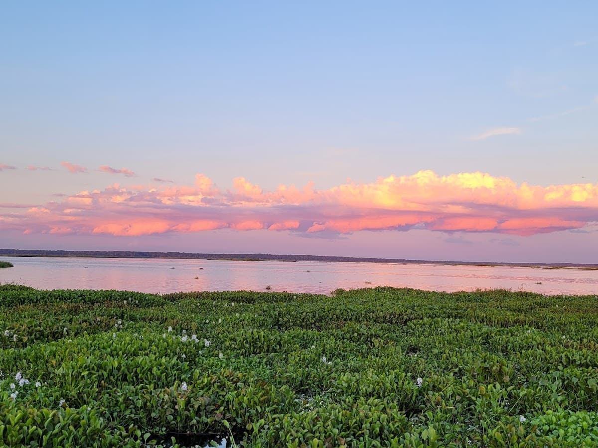 Paynes Prairie