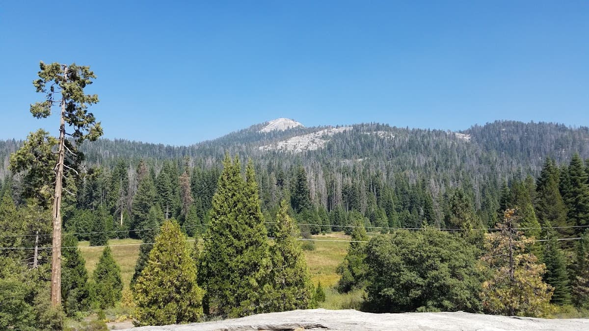 Markwood Meadow