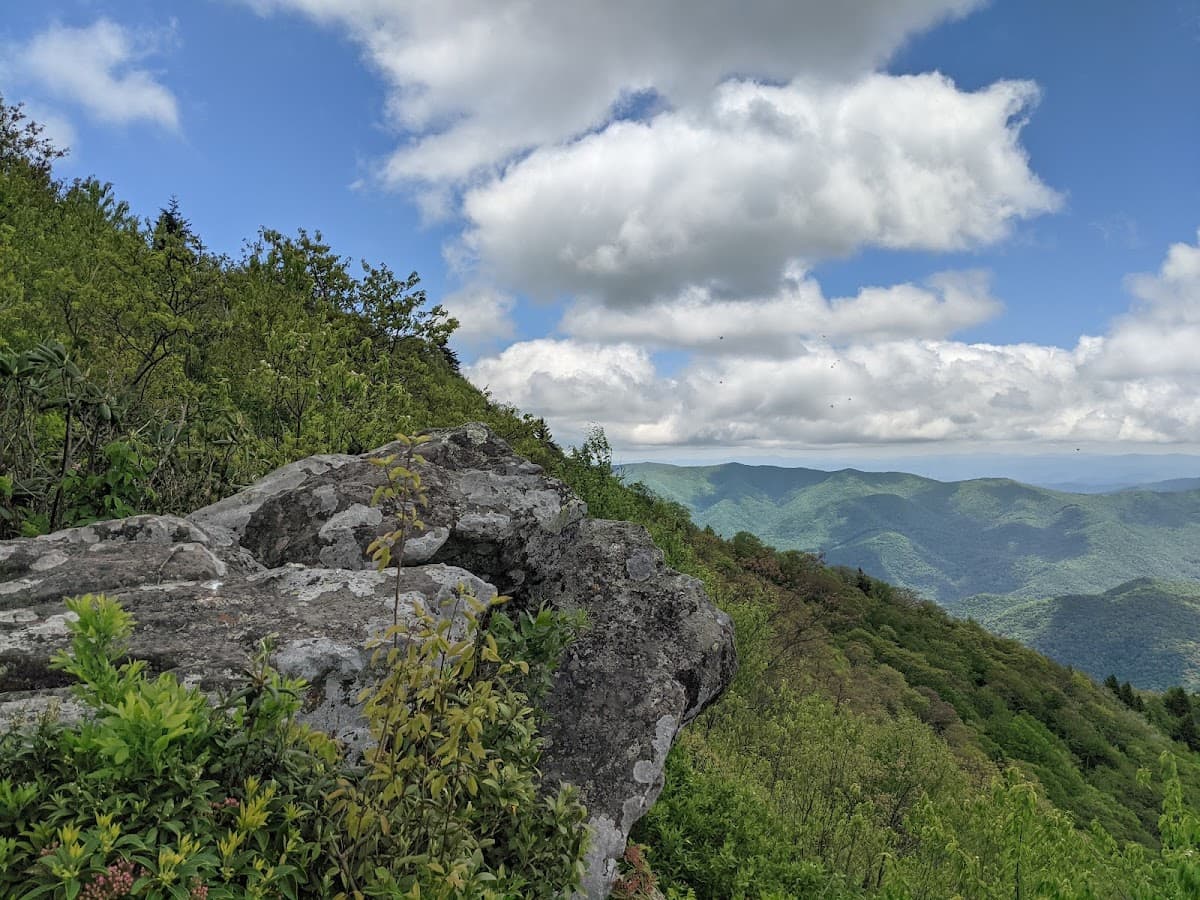 Cold Mountain