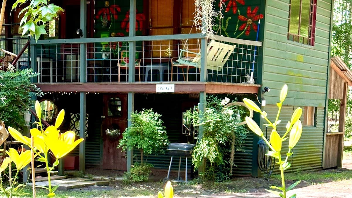 Cricket with Spatterdock Guest Houses on Caddo Lake