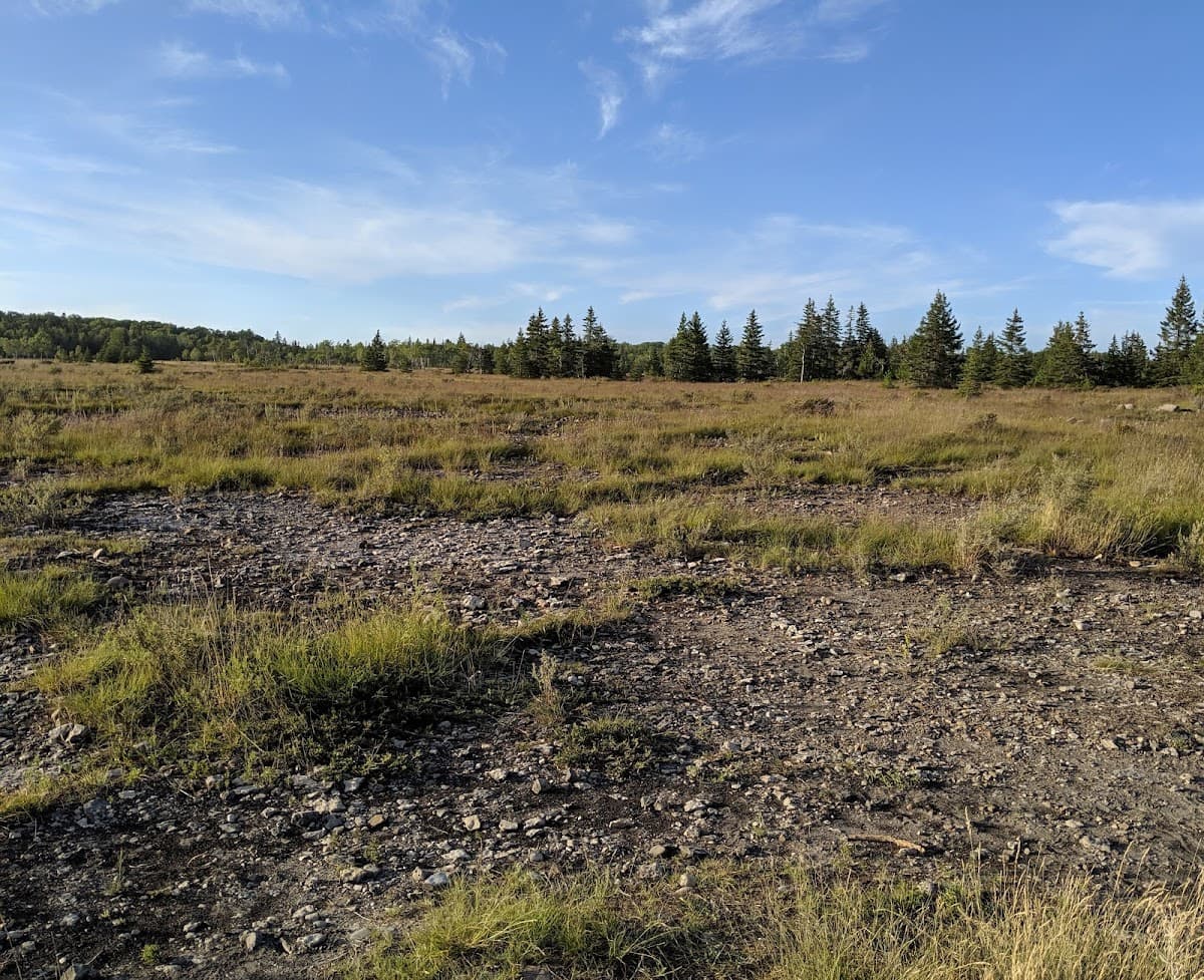 Maxton Plains