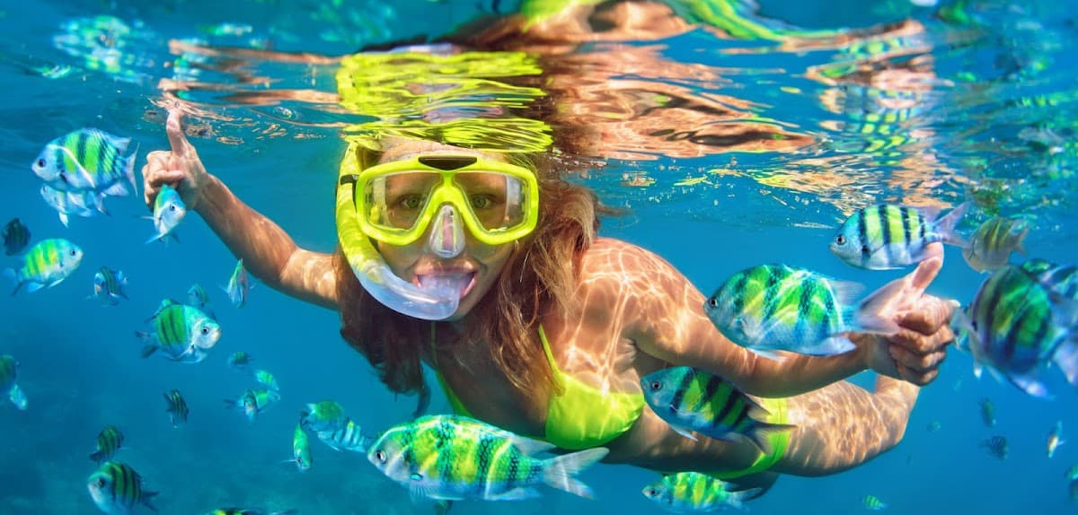 Paradise Island Charters