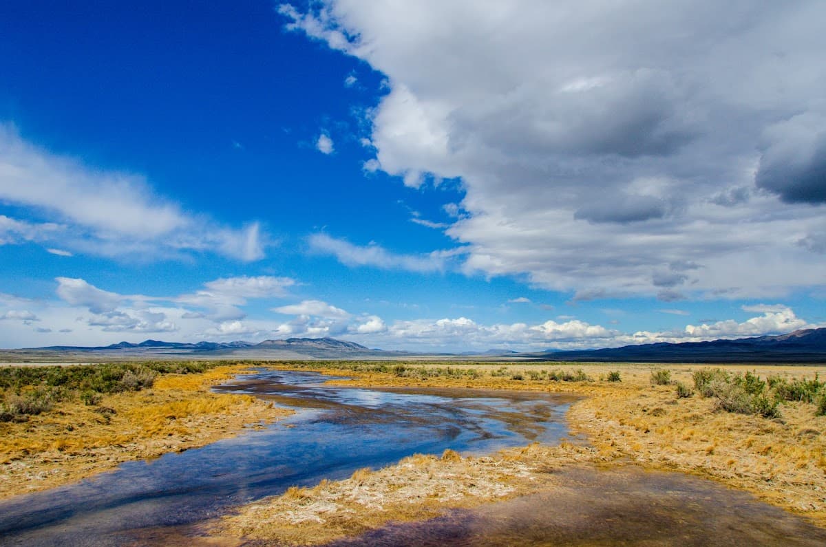 Salt Wells Flat