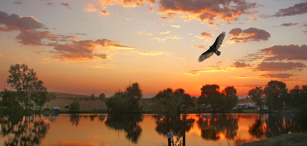 Laguna Del Sol