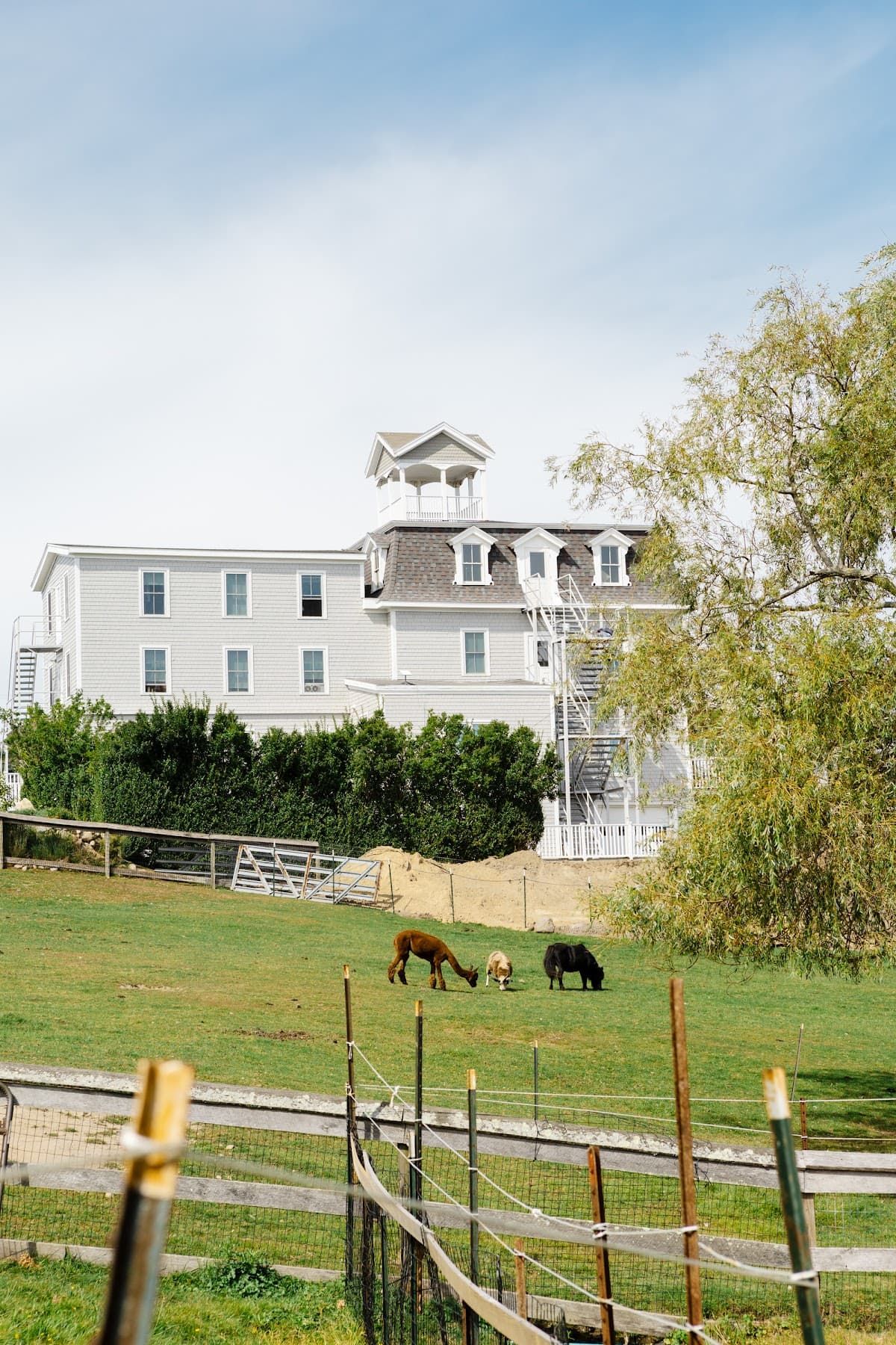 The 1661 Resort