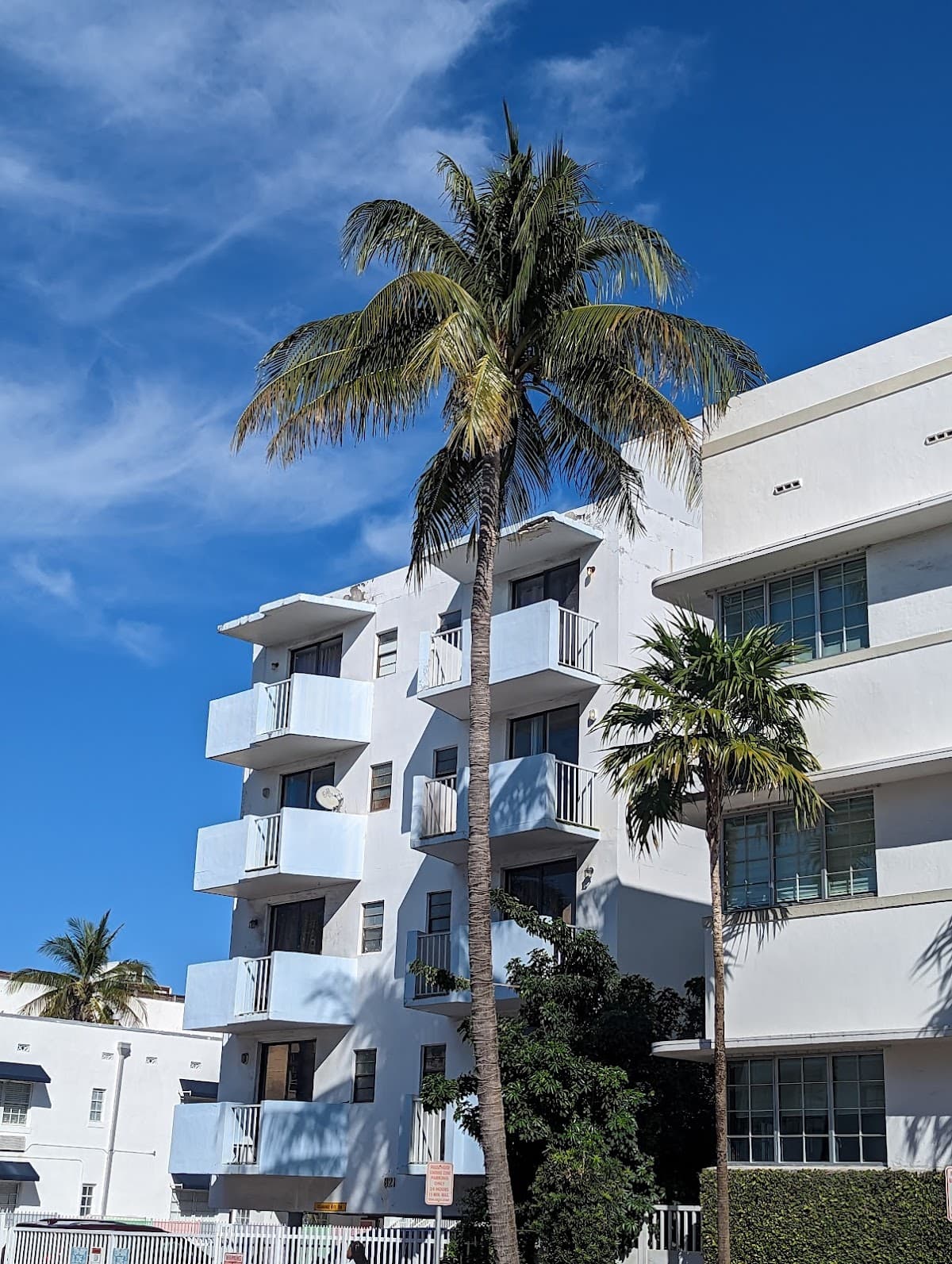 Lily Leon Hotel