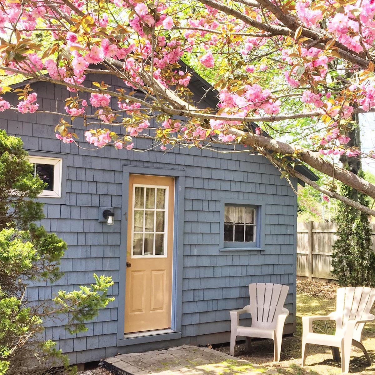 Beech Tree Cottages