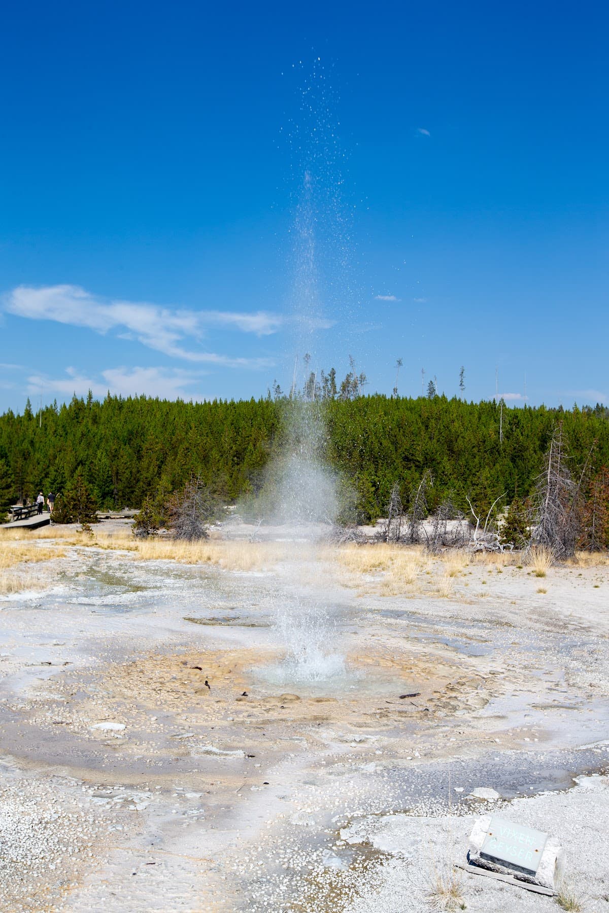 Vixen Geyser