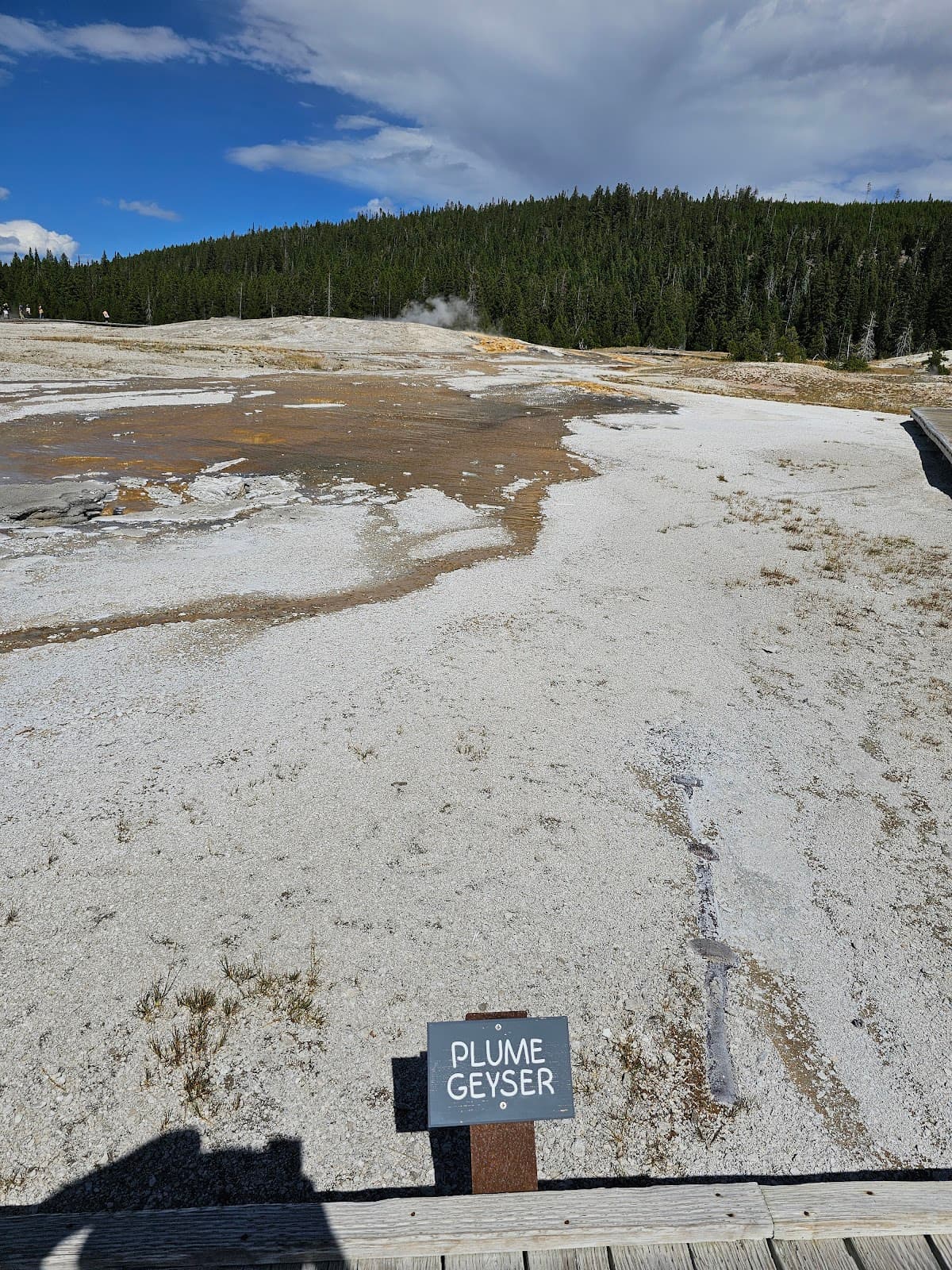 Plume Geyser
