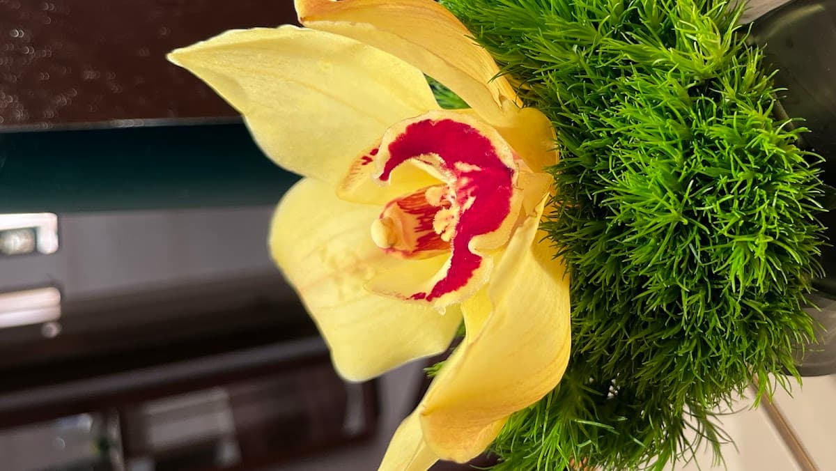 Autumn Care Assisted Living and Autumn Reserve