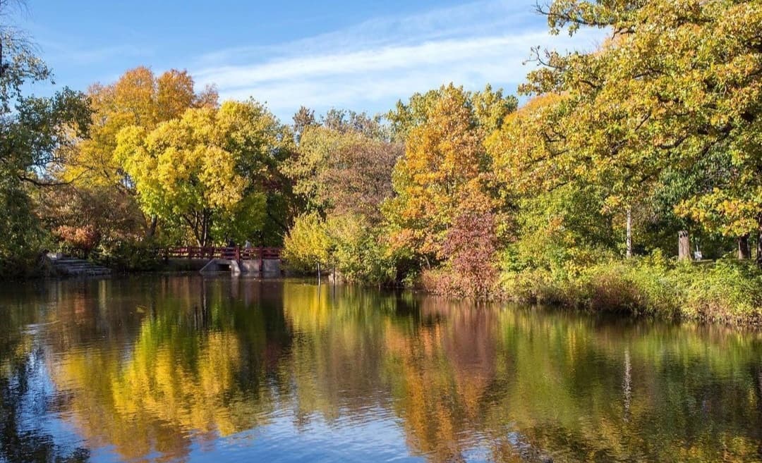 Gompers Park Lagoon