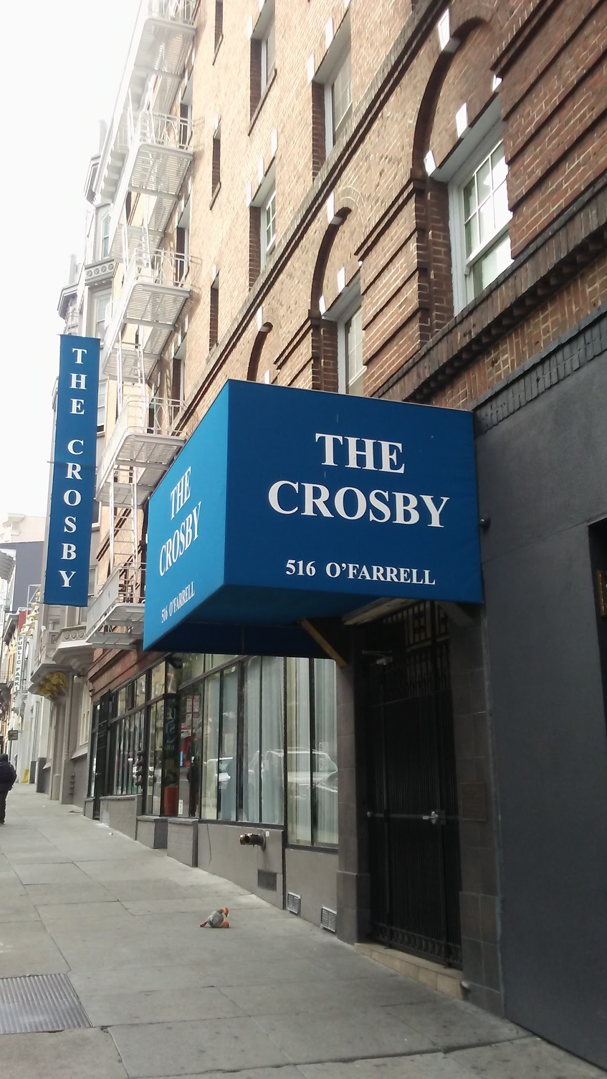 The Crosby