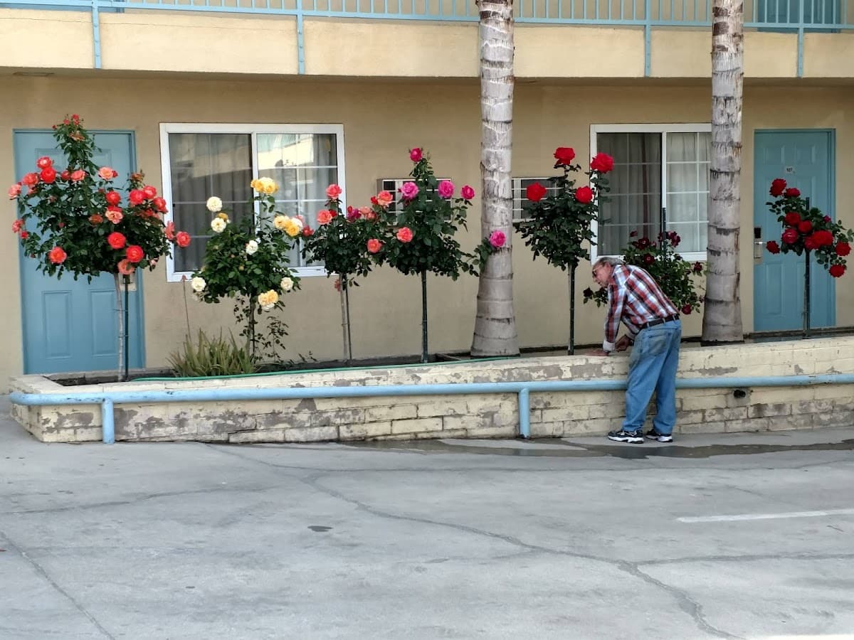 Western Inn & Suites