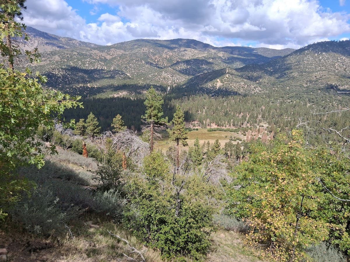 Big Meadows