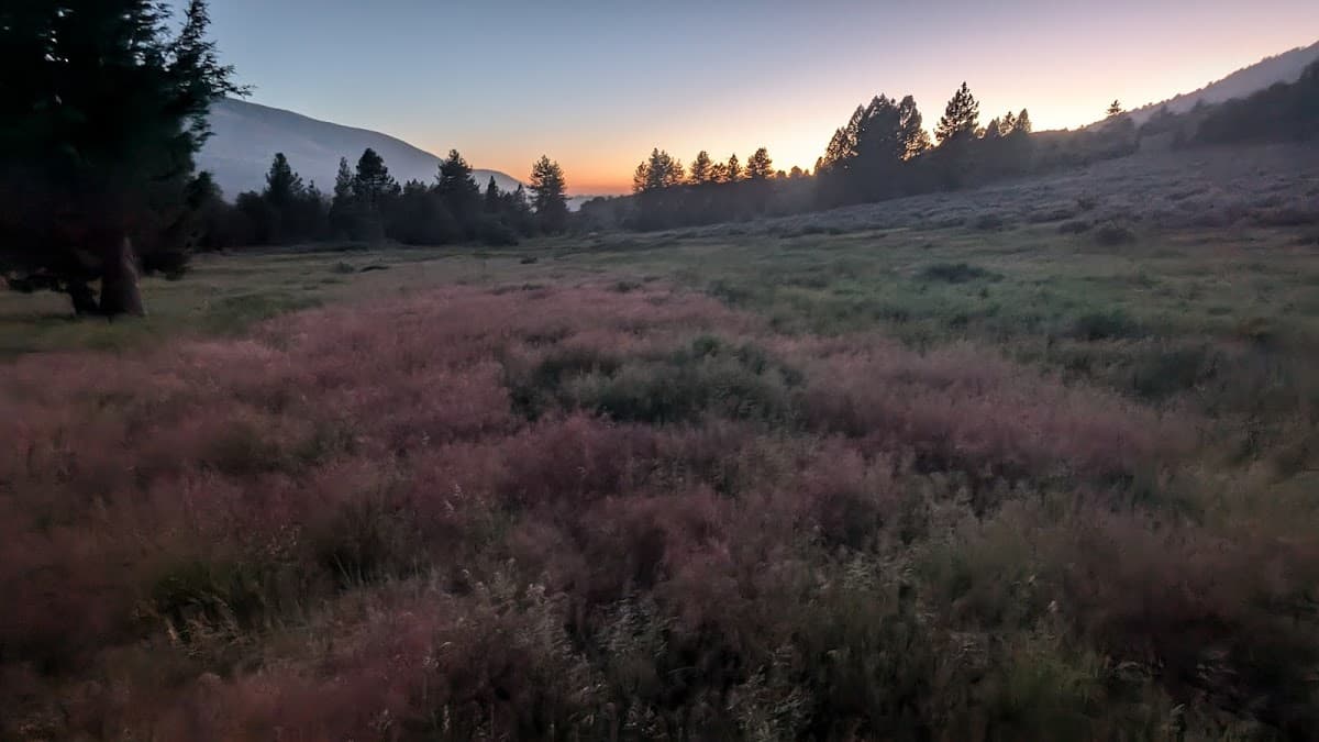 Sugarloaf Meadow