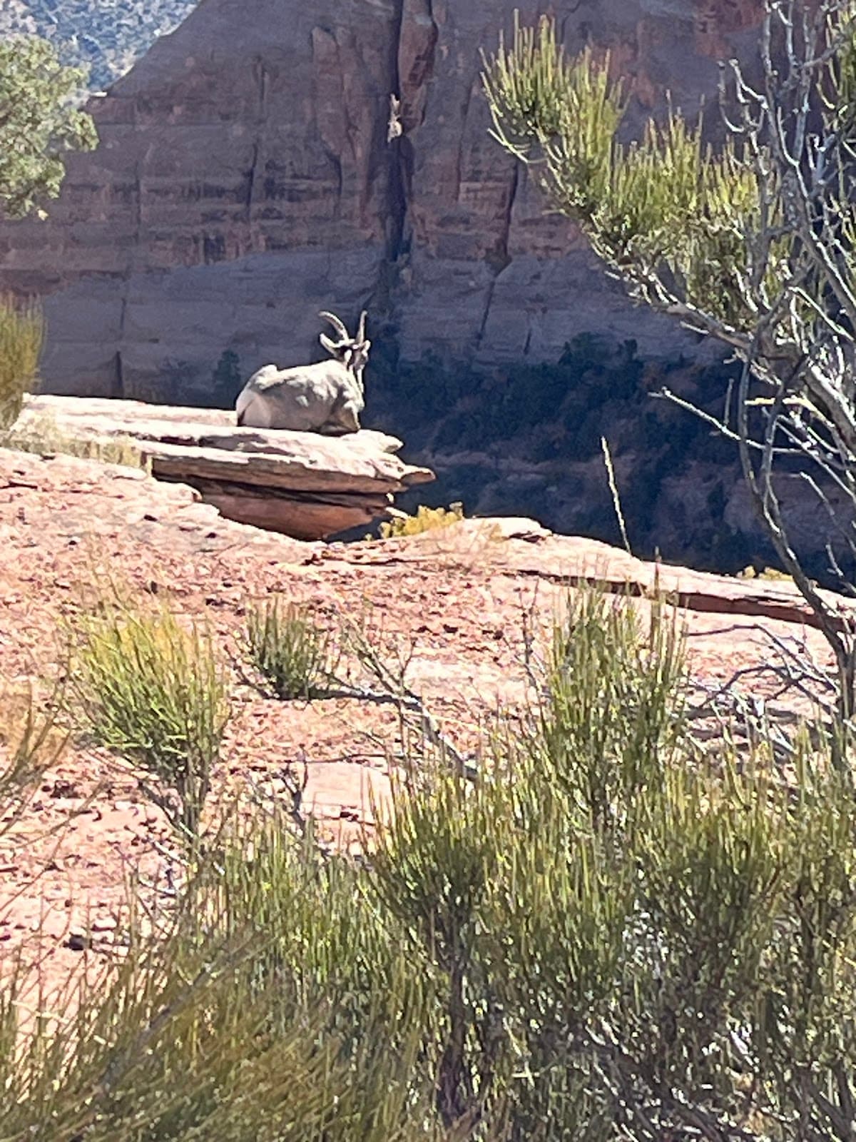 Colorado Vacation